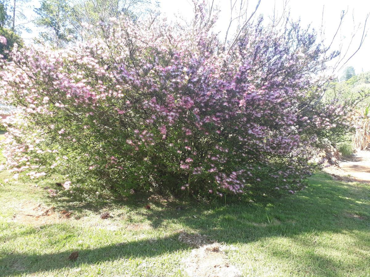 Recanto Das Borboletas Sao Roque  Bagian luar foto