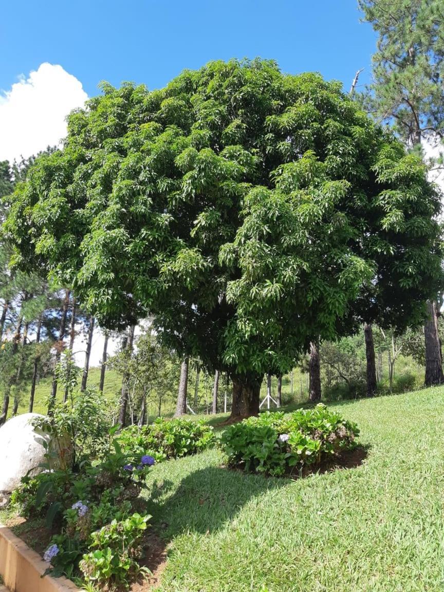Recanto Das Borboletas Sao Roque  Bagian luar foto
